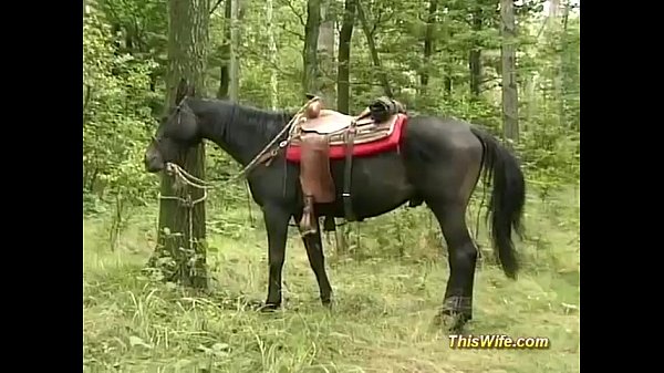 Outdoor threesome anal orgy