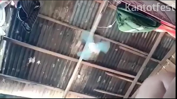 Father Secretly Climbed Mare While Husband Was At Work