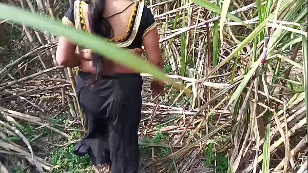 Desi step aunty outdoor sex with ganne ki khet me