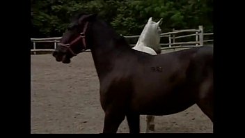 975168c05234ffb3b3966226d738fa4a