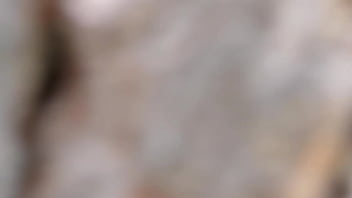 Watch me from Behind Trees when I make Naked in