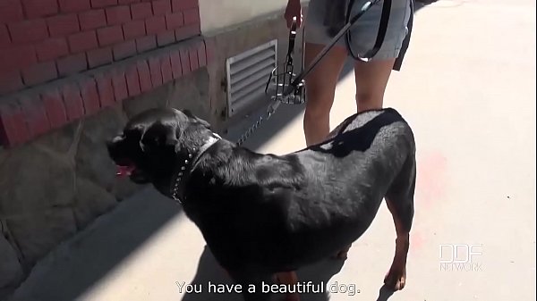 POV cock blowjob in the outdoors fills Alexis Cherry's mouth