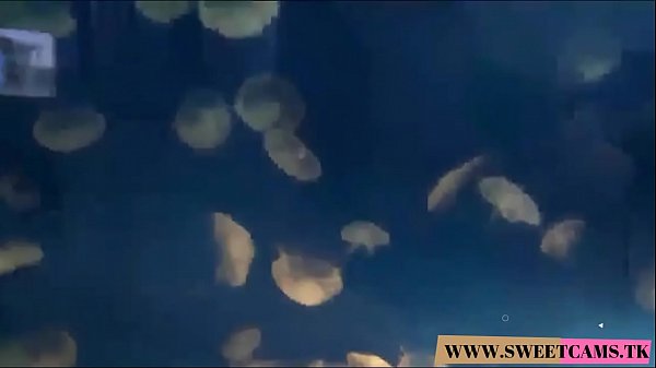 Dee Dee Lynn takes a creampie after your POV virtual